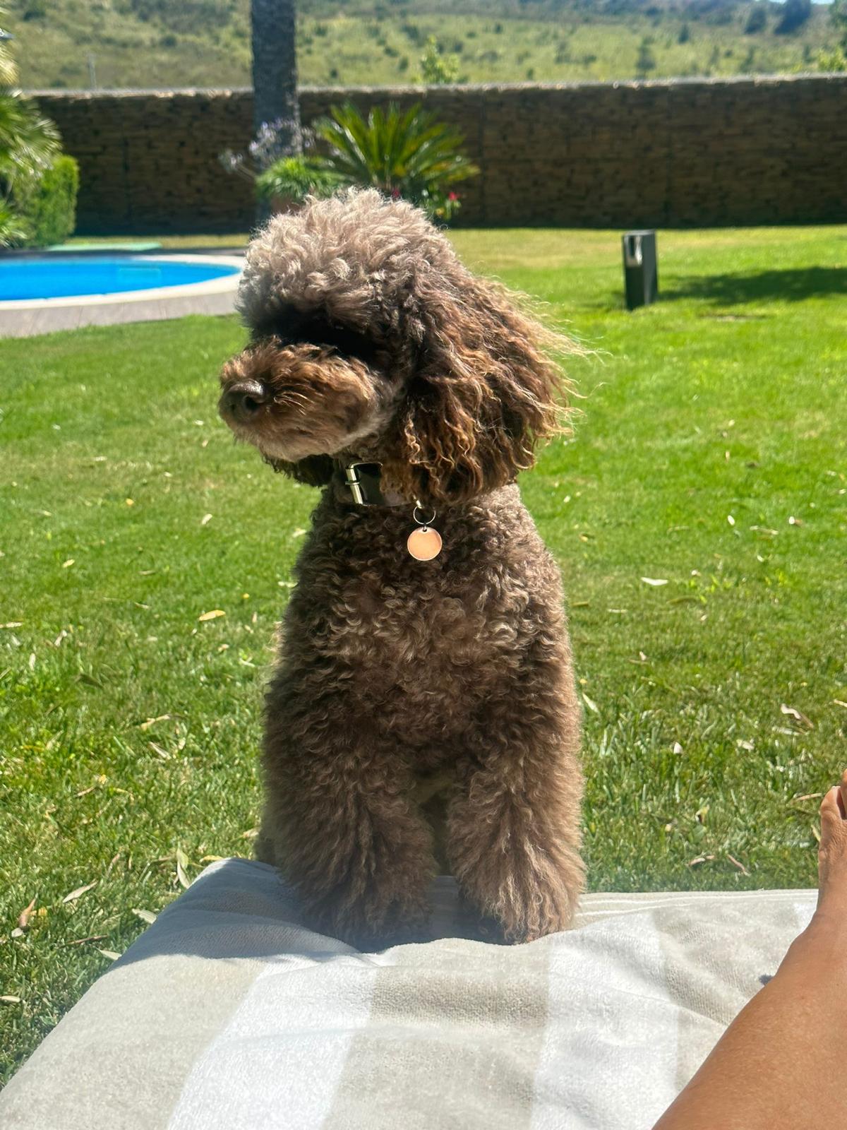 Foto original
